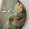 user92848654