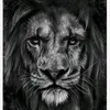 the.beast8527