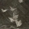 g080821