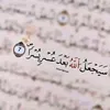fati65932