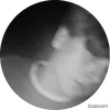 fredi1230_