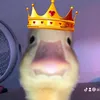 .nguoioverthinking