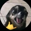 blackzin_07