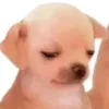 _okiyuuuu