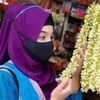 alifa.jannat659