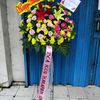 doelflorist