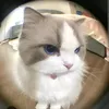 mik_cuthethoi_hehe