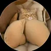 ienn_s