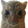 kietyeuruaa