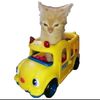 cat22705