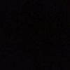 cicak_5895
