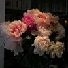 huynhhuynh8996