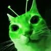 nathanoliveirhfiwjwj