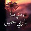 fatma.alshreef4