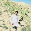 jamal.musabeh6