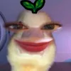 zelleiii8