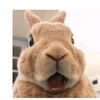 boubypik