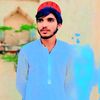 ali.hassanhassan1491