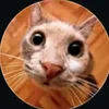 Onlymems Кружки