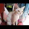 ade.sukaesih04