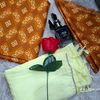 sacdiyocollection5