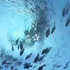 123.7_2