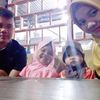 dinarashop2