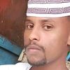 alnwr9272619133619