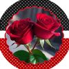 user9693476100329