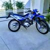 noelmartinez11342