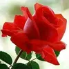 user24034677682384