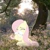ben_adoss