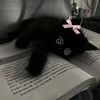 sia.0.0.0.0