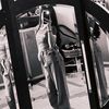 mel3_kk01