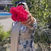 doaa.mahmoud262