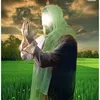 om_ali731