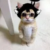 sheep_shy