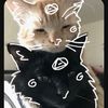 saturn.and.venus.on.paws