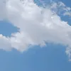 hdhdudbiih