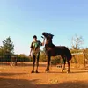 kora02698