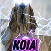 truly.klol