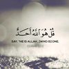 shk_.8