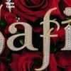 safia_40