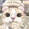 wsuas_