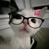 janmrk4
