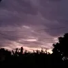 thao_dayroi13