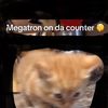 m3gatron22