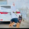 haseeb.khan8248