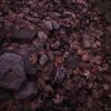 ilovefall4ever.._