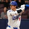 goofybaseballguy